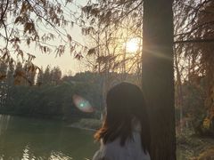 -艾溪湖湿地公园