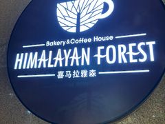 -喜马拉雅森HIMALAYAN FOREST