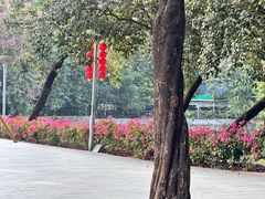 -荔湾湖公园