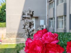 -山东师范大学(千佛山校区)