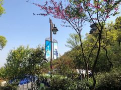 -杭州半山国家森林公园