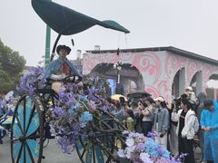 -荷兰花海