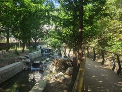 -白水寺森林公园