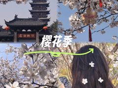 -常熟方塔园