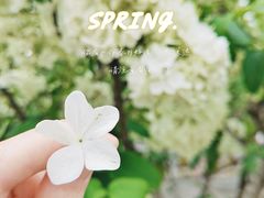 -大龙山(地铁站)