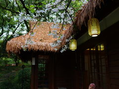 -中国茶叶博物馆(双峰馆区)