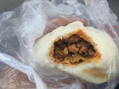雪菜包子-蔡记包子(百花路店)