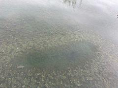 -苏州太湖湖滨国家湿地公园