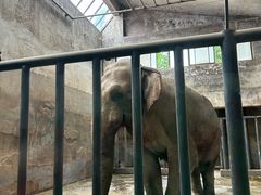 -石家庄市动物园