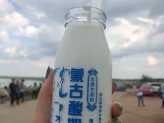 -张北坝上草原