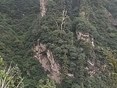 -老爷山风景区