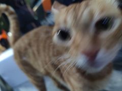 -南山文体中心-游泳馆