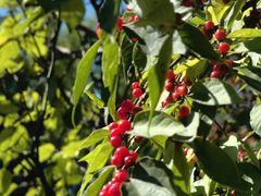 -春晖园度假酒店温泉