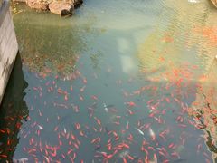 -重元寺香积厨素斋馆