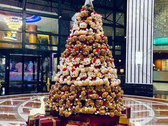 -喜来登大酒店健身中心