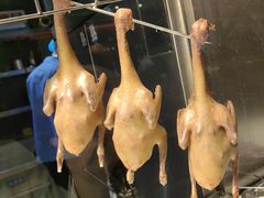 -三强鸽子(中原路店)