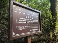 -雁荡山三折瀑景区