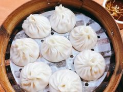 -莱莱小笼·乔艾