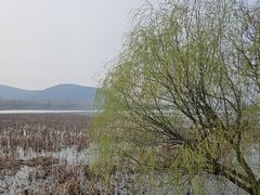 -云龙湖旅游景区