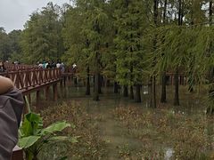 -四明湖