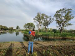 -大兴滨河森林公园