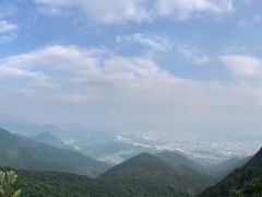 -清溪森林公园
