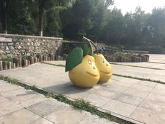 -河北省园博园