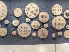 -中国（海南）南海博物馆