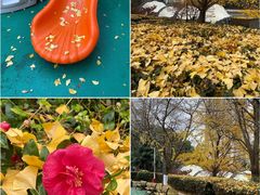 -苏州河梦清园环保主题公园