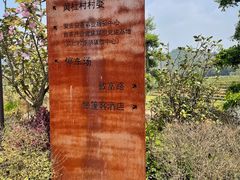 -白茶原·一片叶子