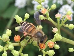 -唐城墙遗址公园