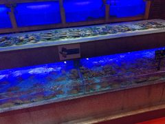 水产区-启东恒大酒店·吕四渔号海鲜餐厅