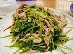 -陈傻子餐厅(世纪都会店)