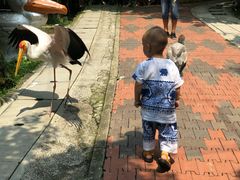 -吉隆坡雀鸟公园