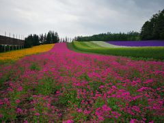 -富田农场