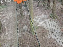 -武陵山森林公园