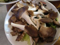 鲜平菇-雾都渣渣火锅(南城智汇城店)