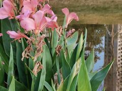 -光明小镇欢乐田园