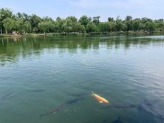 -承德避暑山庄景区