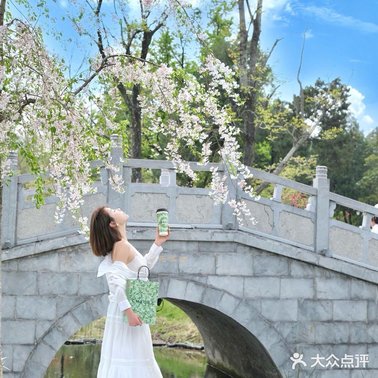 和霸王茶姬小绿杯一起体验公园20分钟效应！！