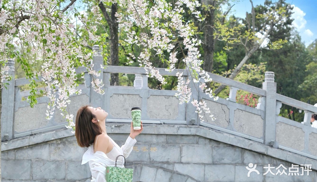 和霸王茶姬小绿杯一起体验公园20分钟效应！！