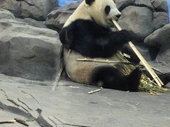 -秦皇岛野生动物园