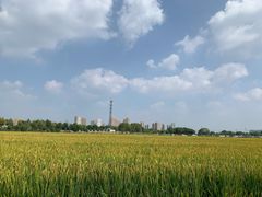 -嘉北郊野公园北游客中心-地上停车场