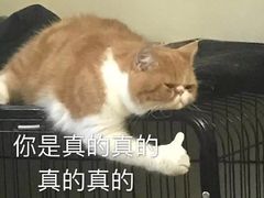 -老宋家鱼馆(北滨路店)