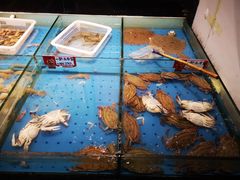 -老济南·地道济南菜(大明湖店)