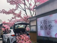 -首开·龙湖成都西宸天街
