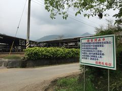 -瑞穗牧场