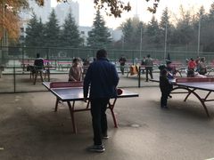 -陕西师范大学(雁塔校区)