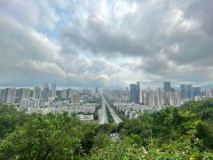 -板樟山森林公园