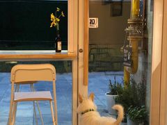 -悟白咖啡WoobyCafe
